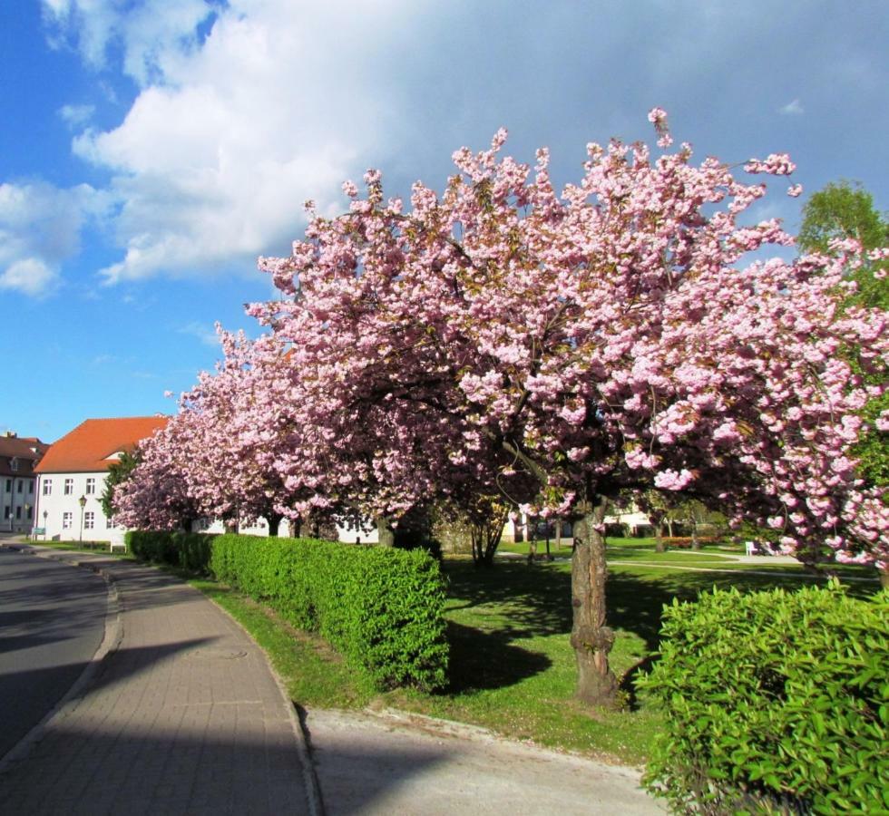 Kastanienhof Luebben Appartement Buitenkant foto